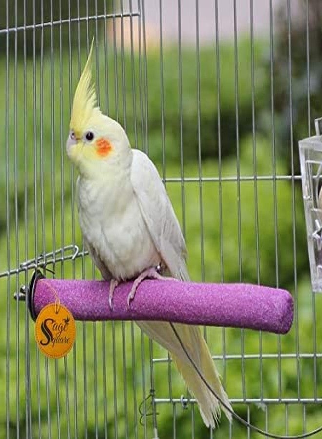 Sage Square Natural Wooden Sand Perch, Stand, Toy for Birds, Cage Accessories, Safe, for Budgies, Cockatiels, Lovebirds, Finches, Conure, and Other Birds (Size - 12") - Image 4